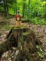 Oliwa FARCHIONI 1000ml Olio extra vergine CASOLARE saltus.jpg